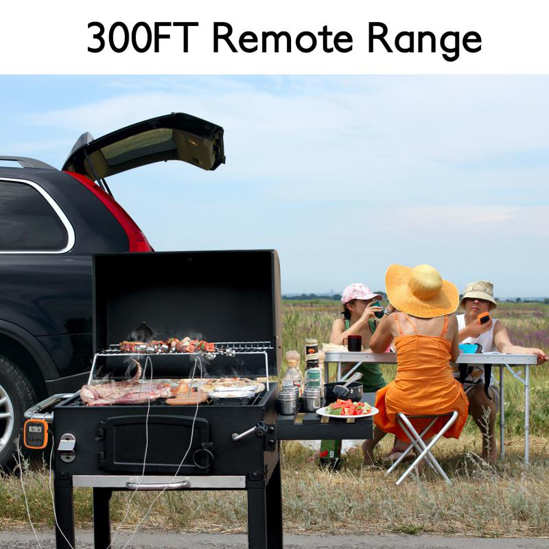 Nuovo Termometro Digitale Wire - Meat Thermometer Camp recensione e prezzo