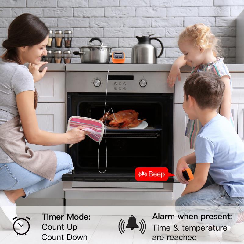 Nuovo Termometro Digitale Wire - Meat Thermometer Camp recensione e prezzo