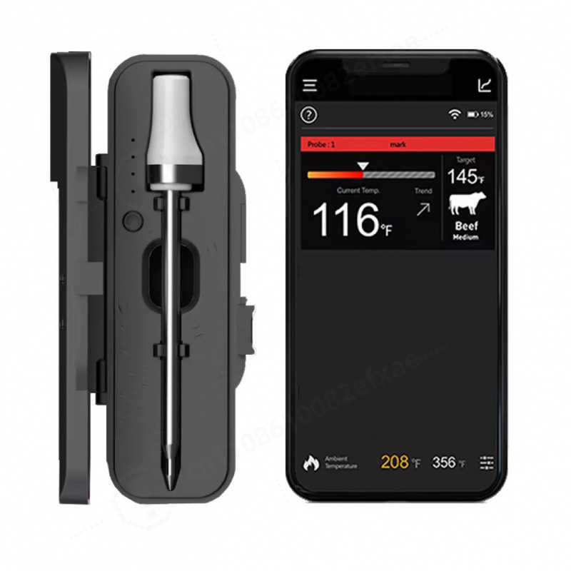 Sonda per Carne Wireless Bluet - Meat Thermometer Camp recensione e prezzo