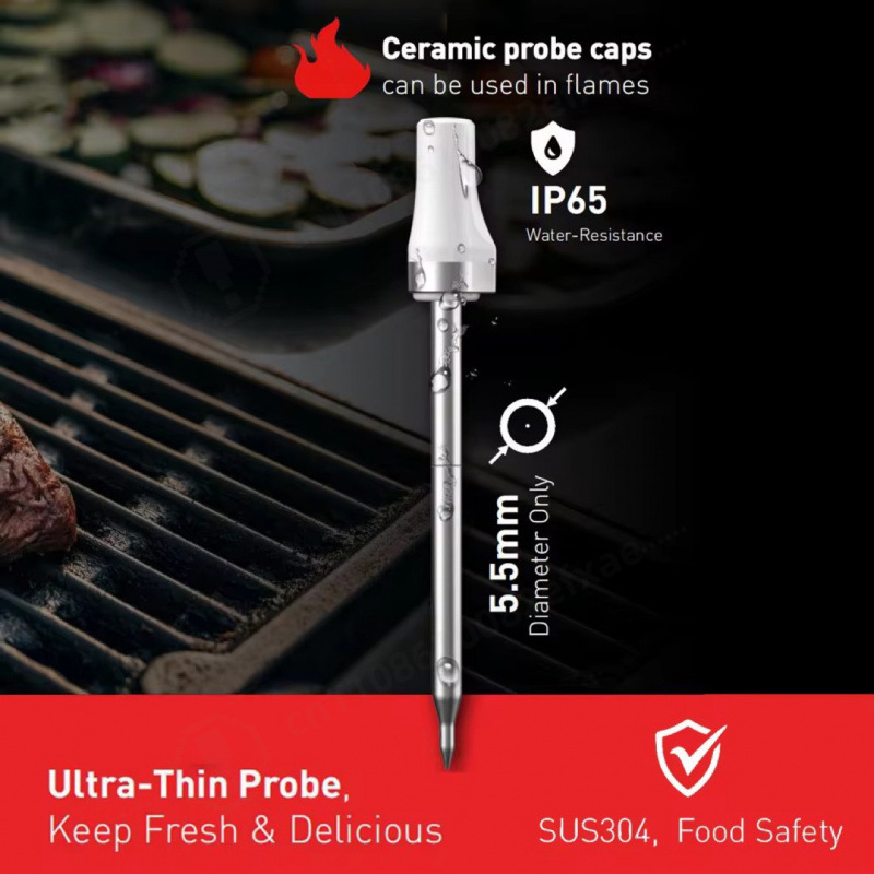 Sonda per Carne Wireless Bluet - Meat Thermometer Camp recensione e prezzo